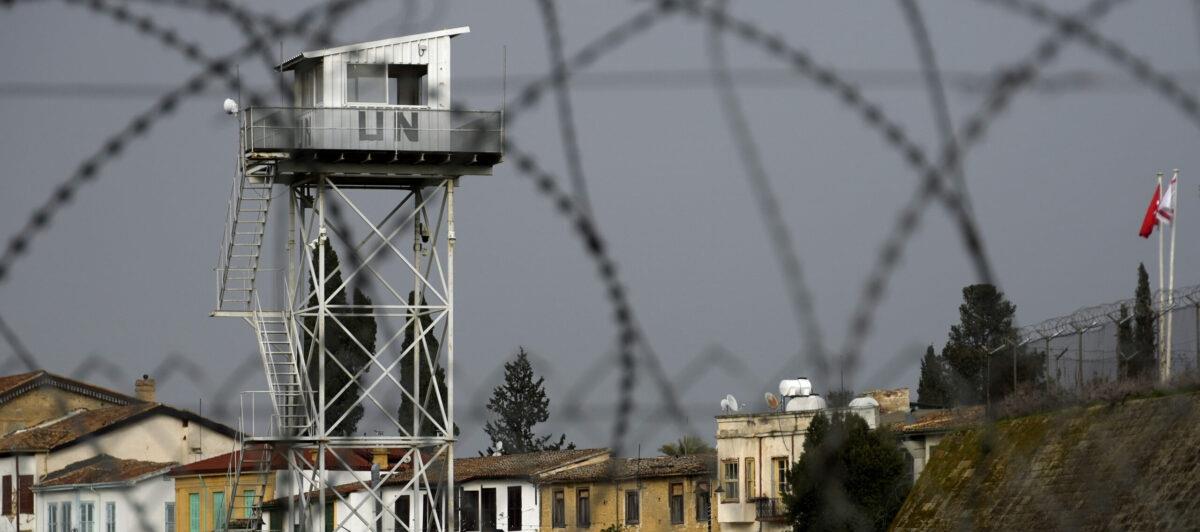 5243162703343805 cats