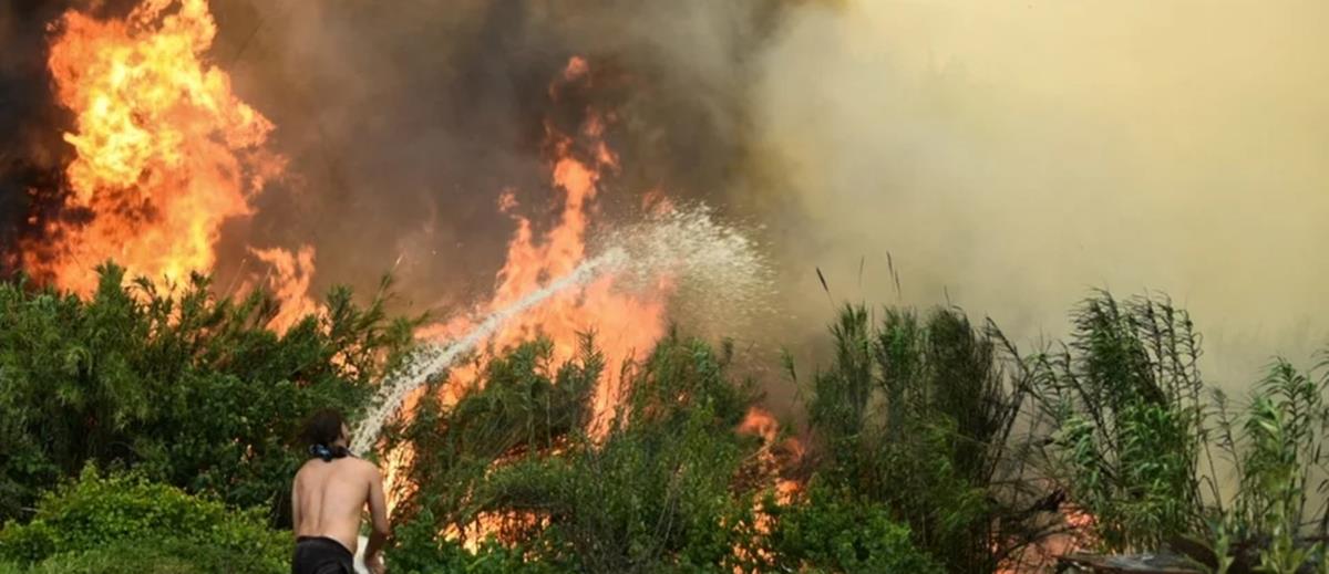 5243234955794219 cats