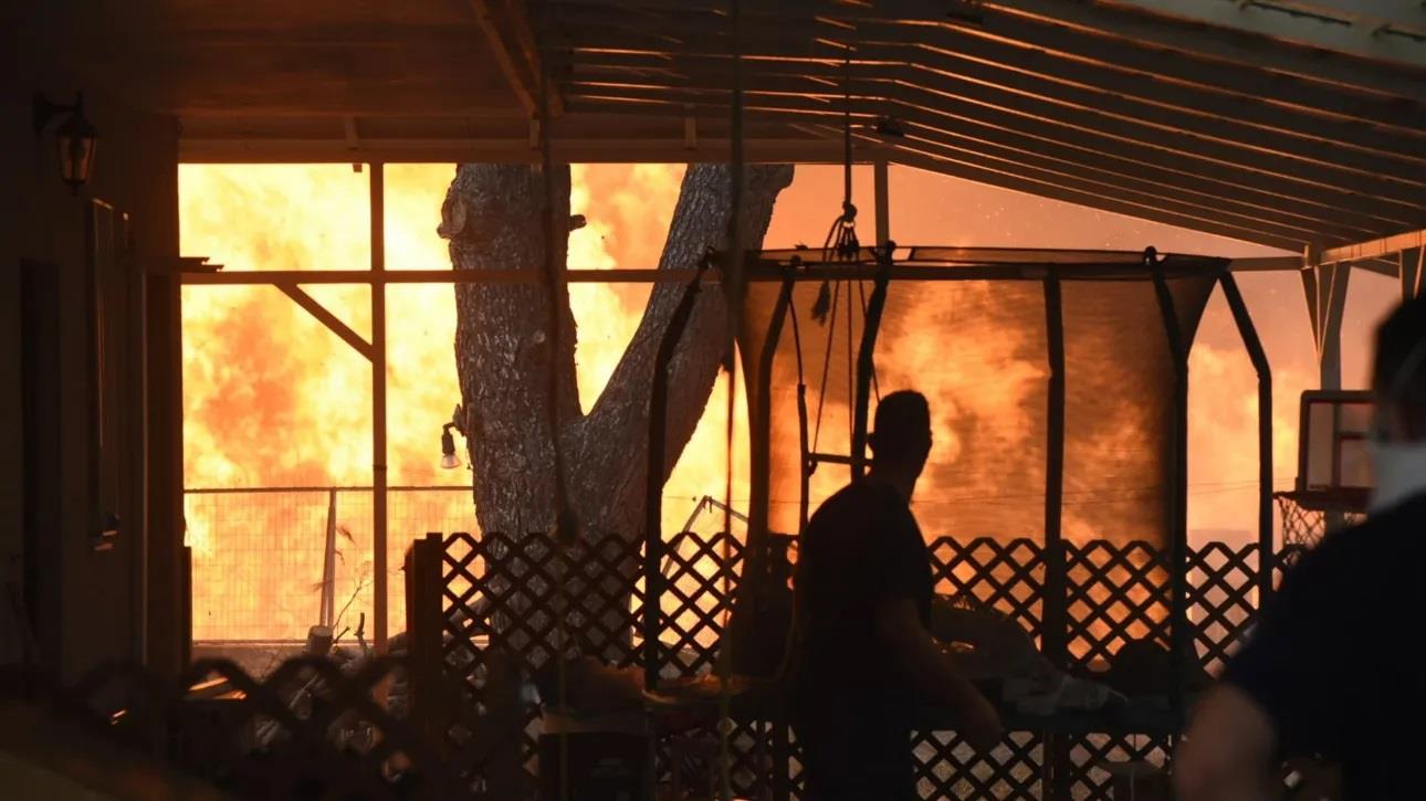 5243532263053070 8019cd29-patra-fwtia-4