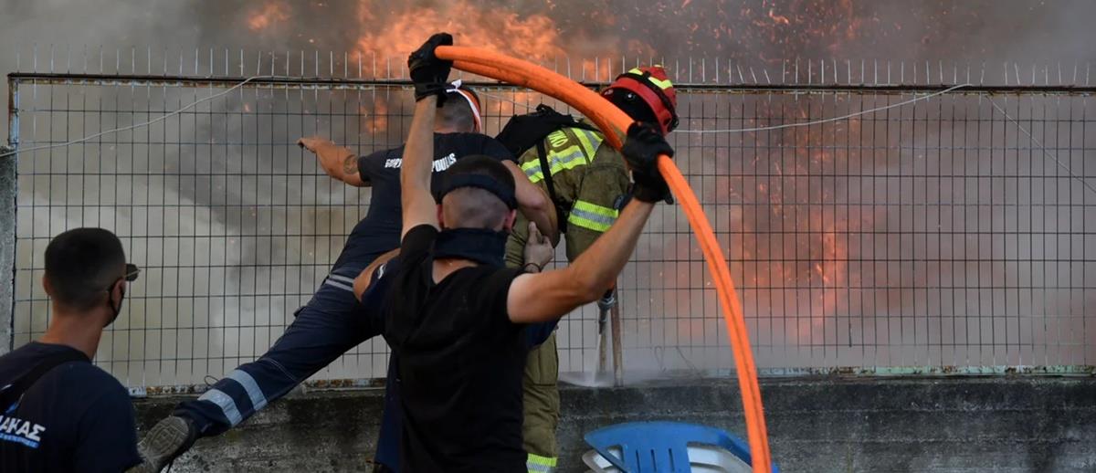 5243987559350319 cats