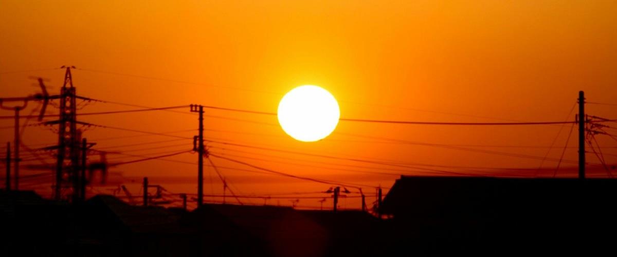 5244024862162853 kausonas