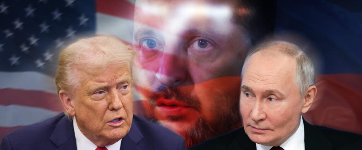 5244074947911611 cats