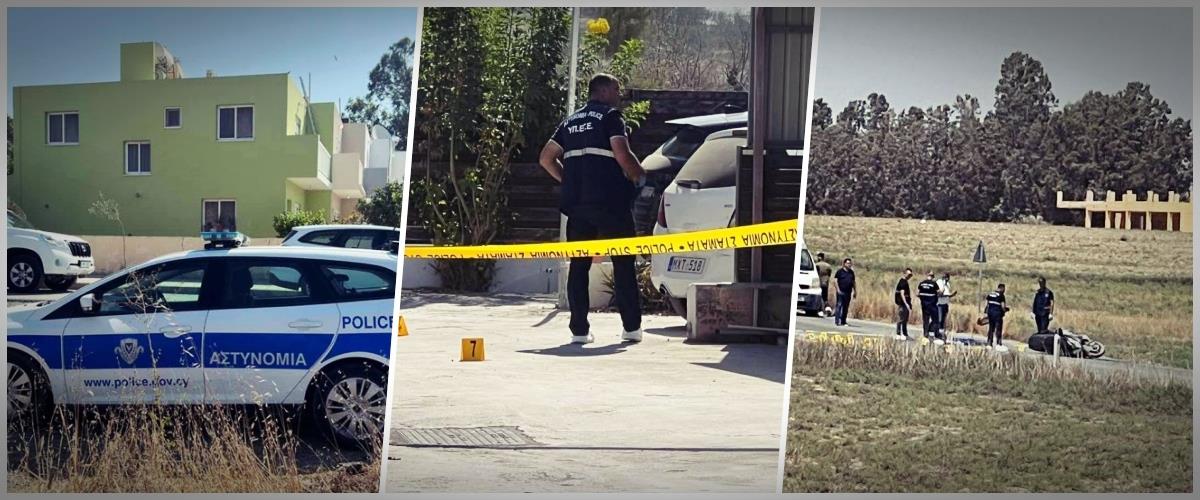 5244078614792764 cats