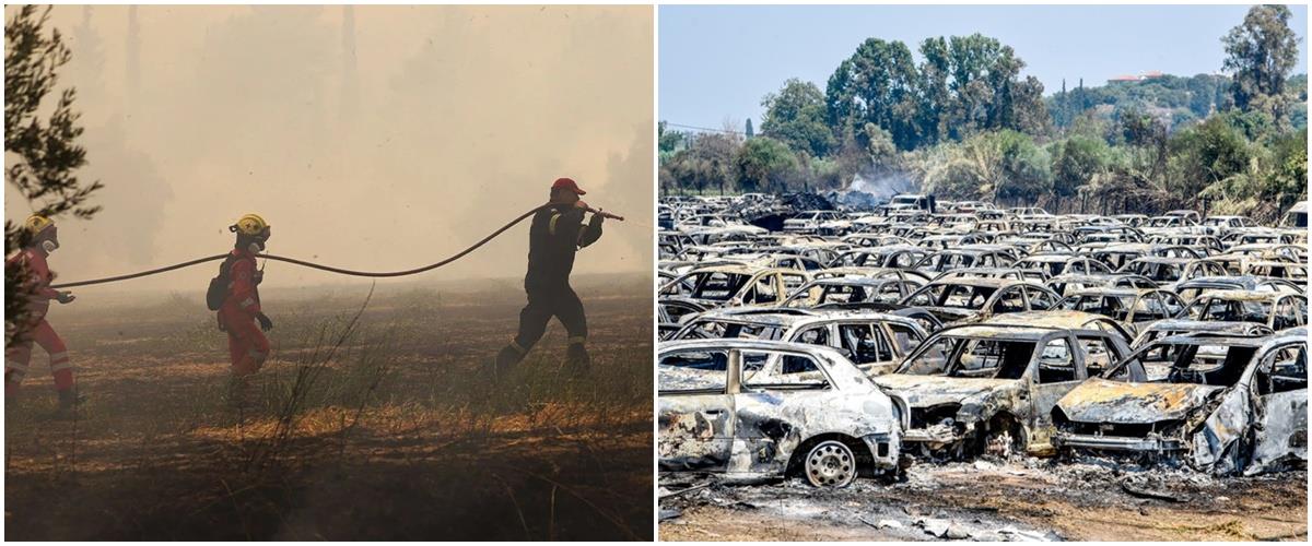 5244124956883518 cats