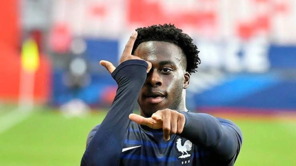 5244153722620784 image