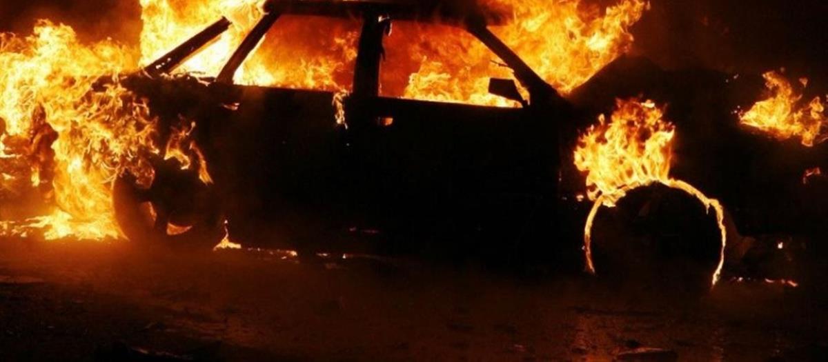 5244754354364978 cats