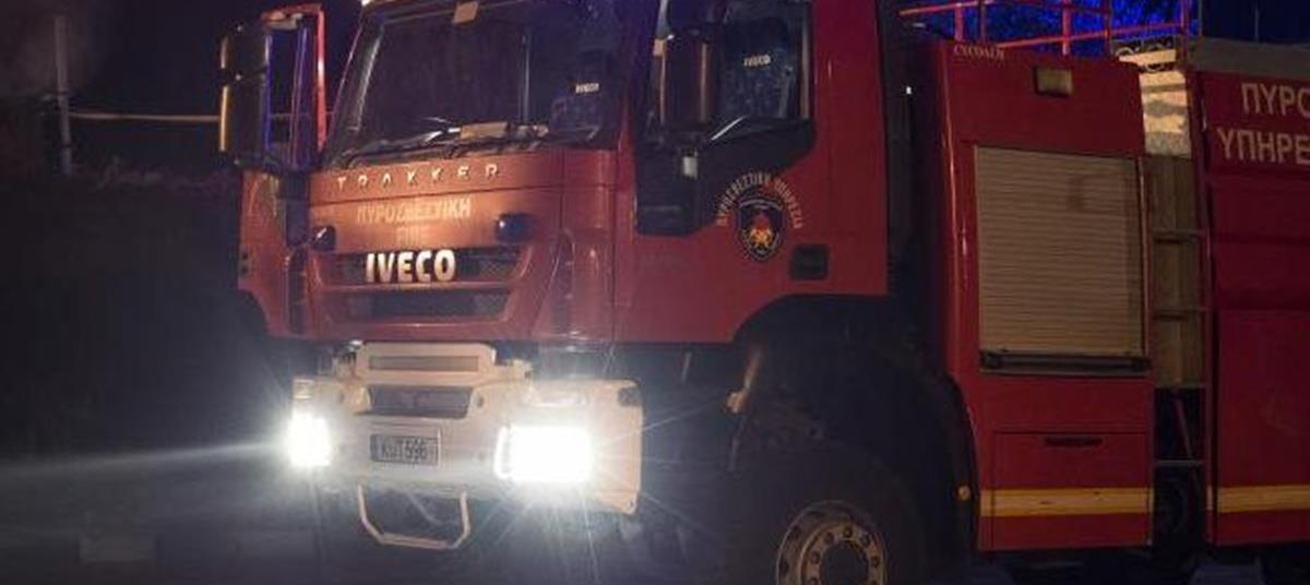 5244760591515844 cats