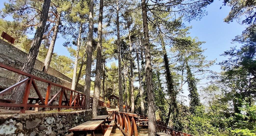 5244873541487013 image