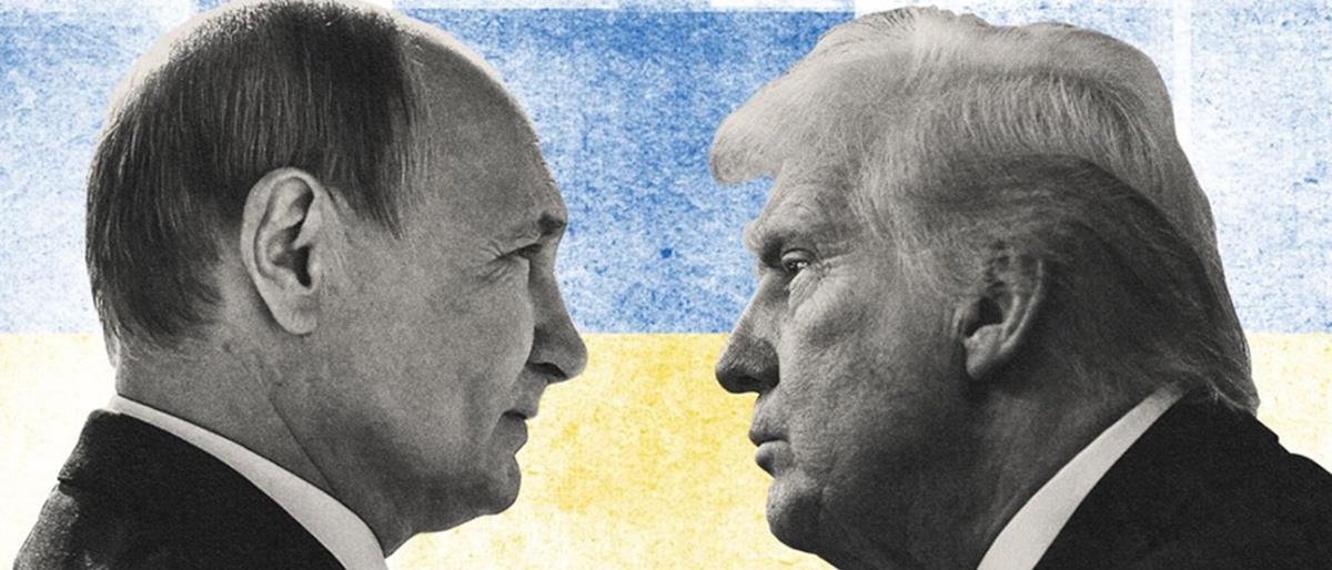 5244877493073256 cats