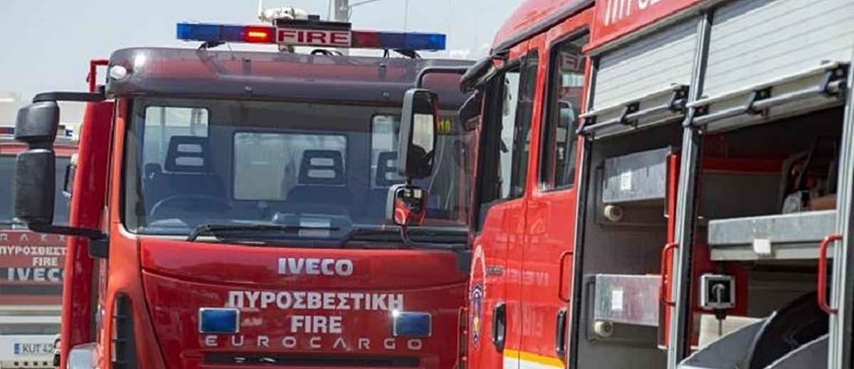 5244906078864153 cats