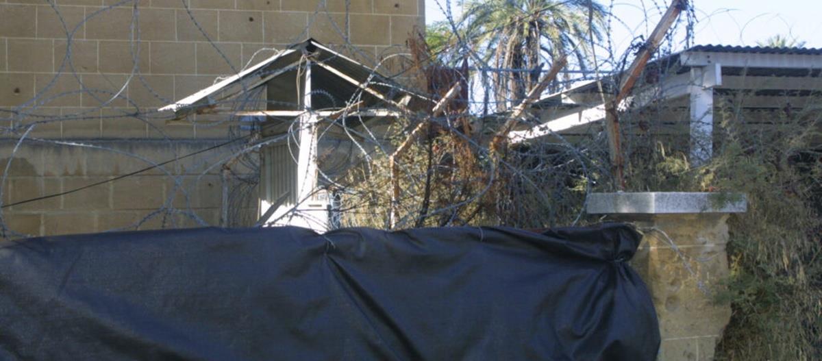 5244907663406097 cats