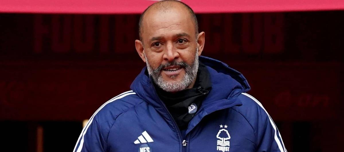 5245039435146522 cats