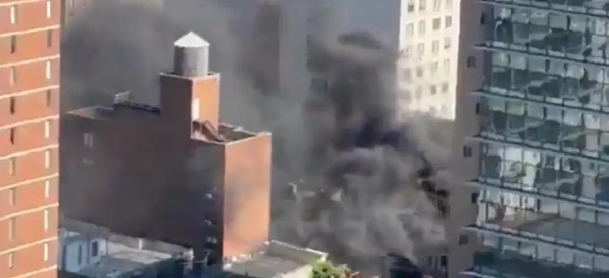 5245159230924718 cats