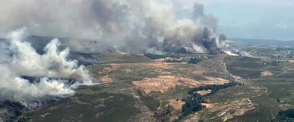 5245881842911152 867