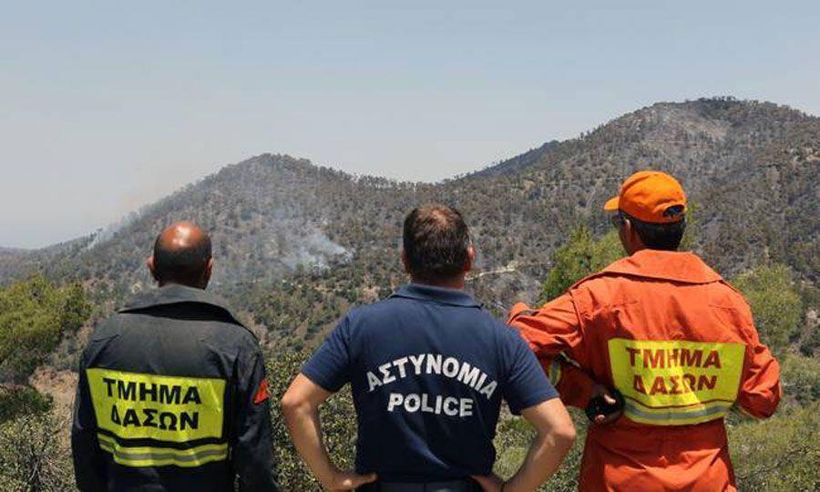 5246514278010885 b tmima-daswn