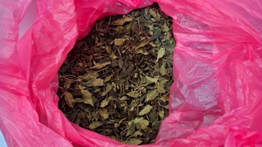 5246670353866778 koka maketa