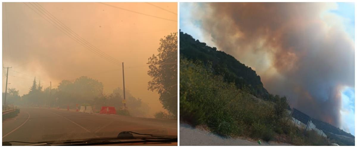 5246786778565601 collage