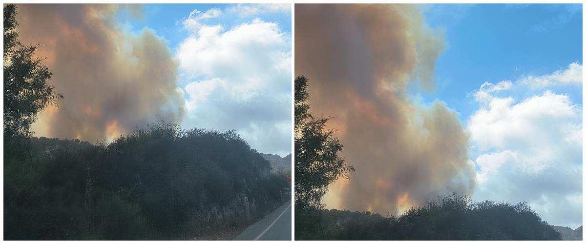 5246817028896309 collage