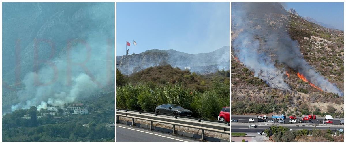 5250089112840362 collage