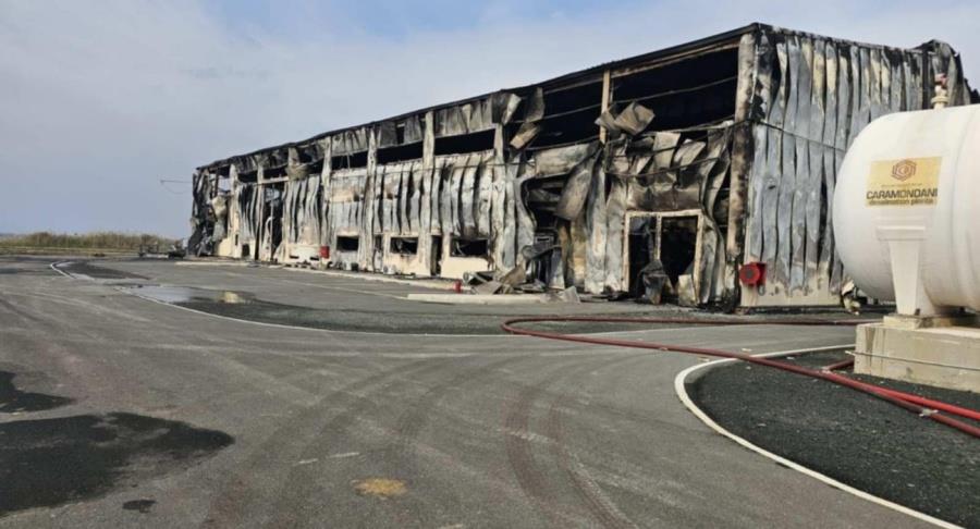 5250182877187356 monada-afalatosis-2-1296x700