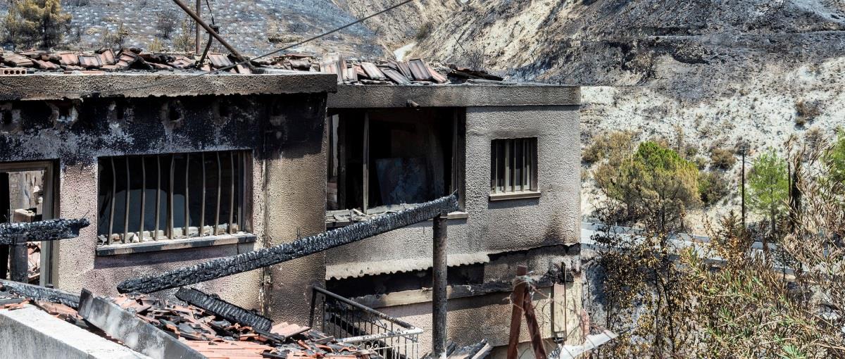 5250412270295671 DOC.20250730.8829880.DSC 0709