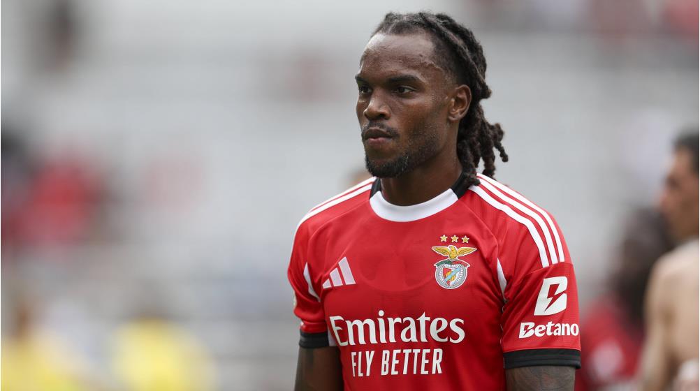 5250984686497341 image