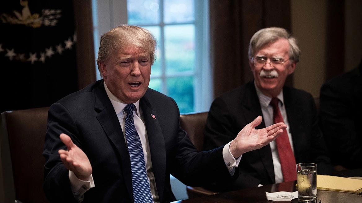 5251181585364004 image