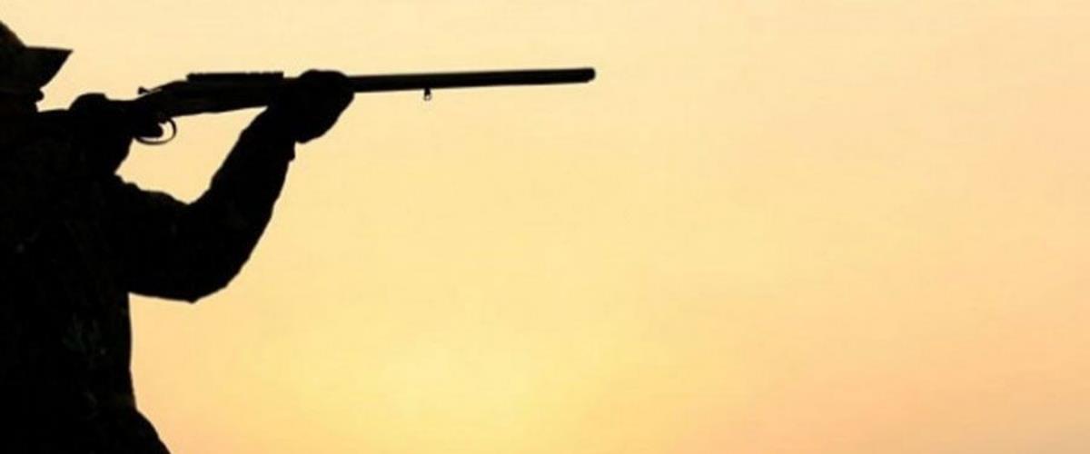 5251878183773482 b 11