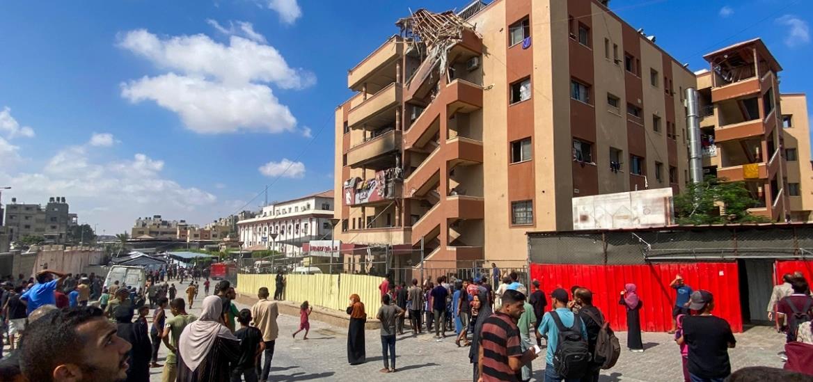 5254251784881909 cats