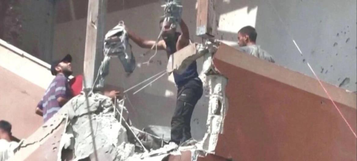 5254490200781635 cats