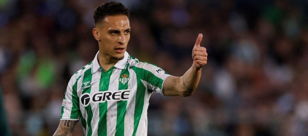 5255187008484909 cats