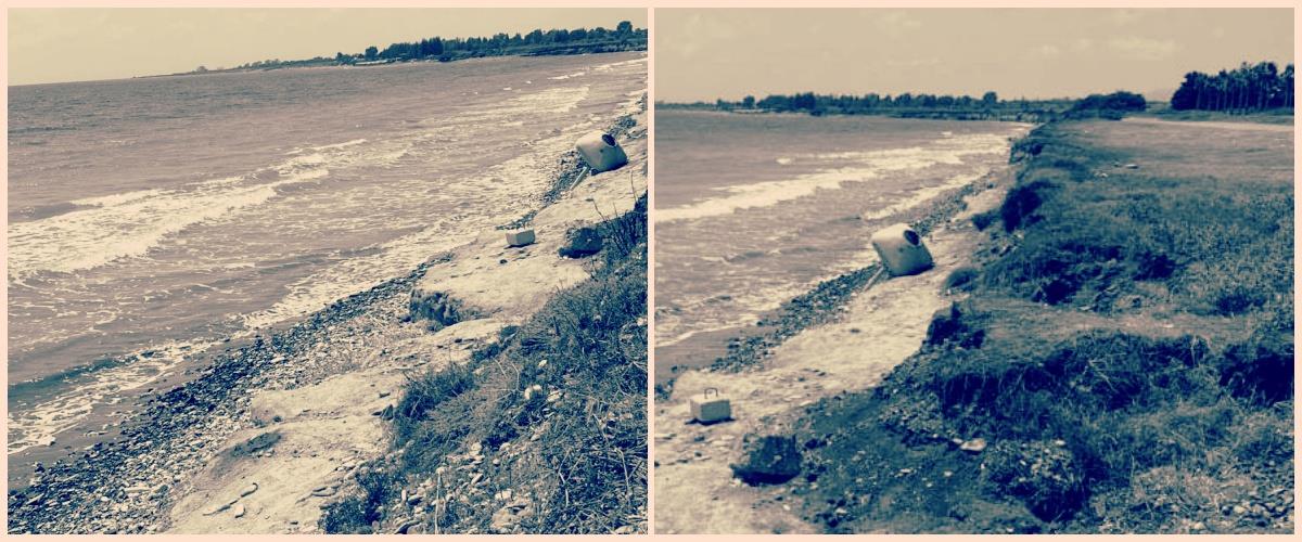 5255370280244211 collage