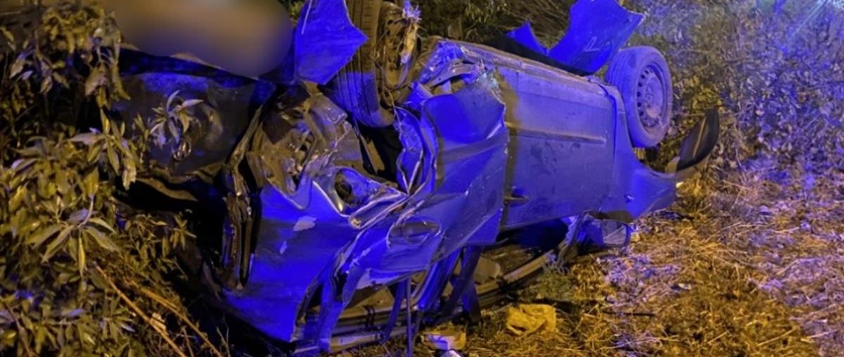 5257251168104828 cats