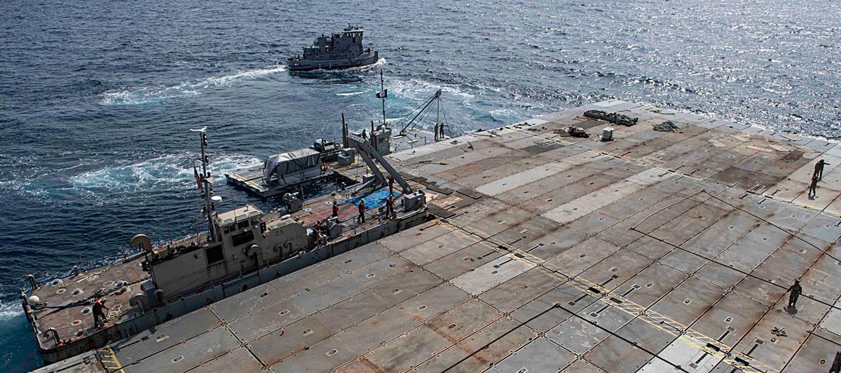 5257262454284352 cats