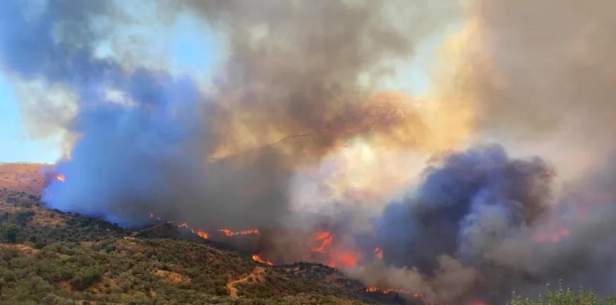 5257309082498526 image