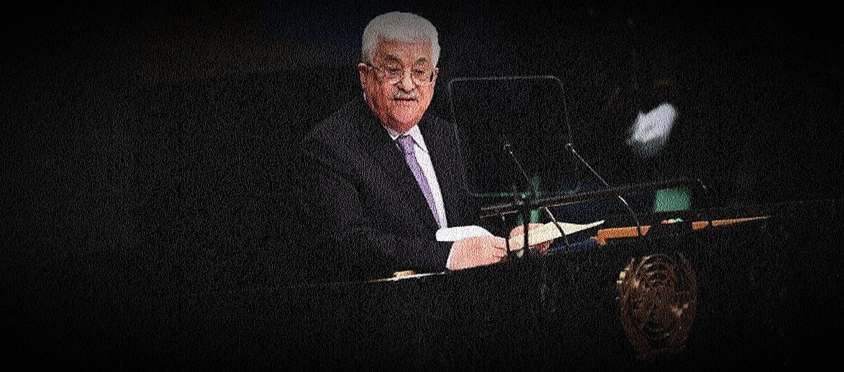 5257765949000565 cats