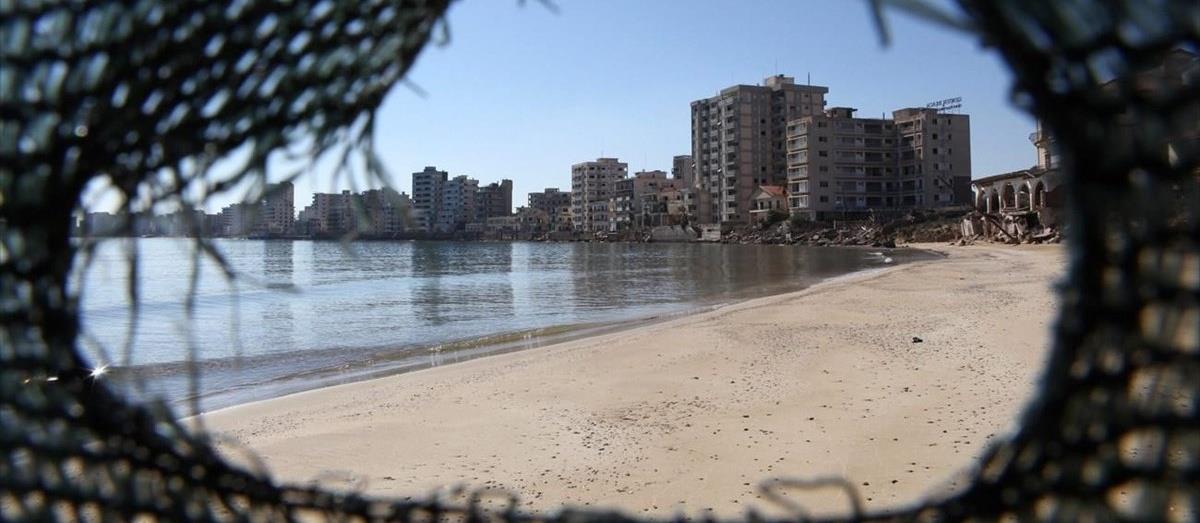 5257972859164153 cats