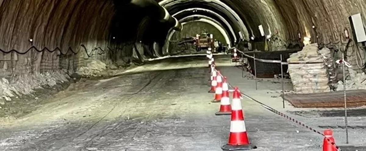 5257984178726982 cats