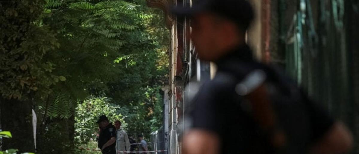 5258023354962455 cats