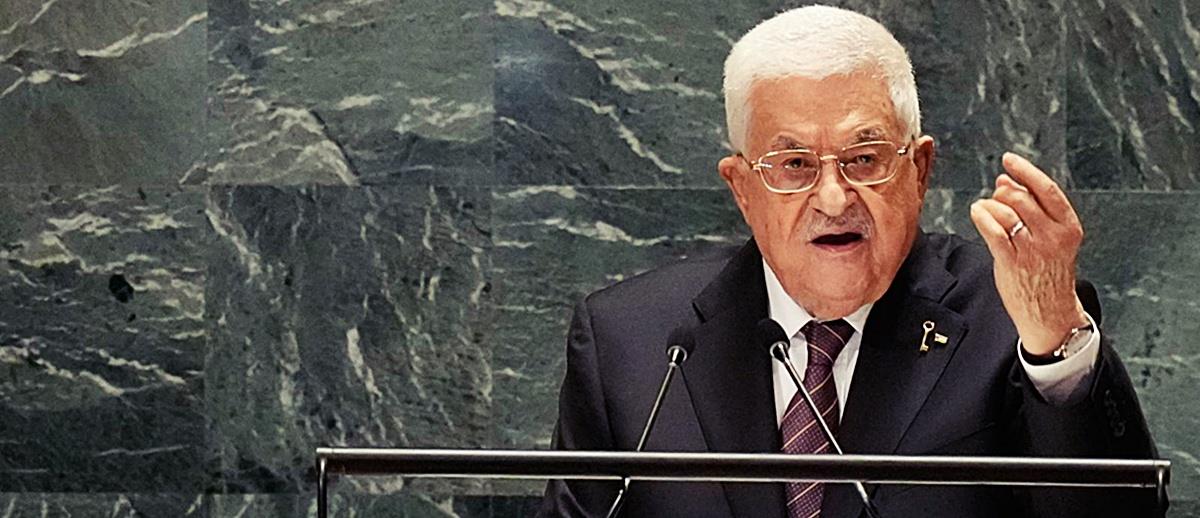 5258092271853990 cats