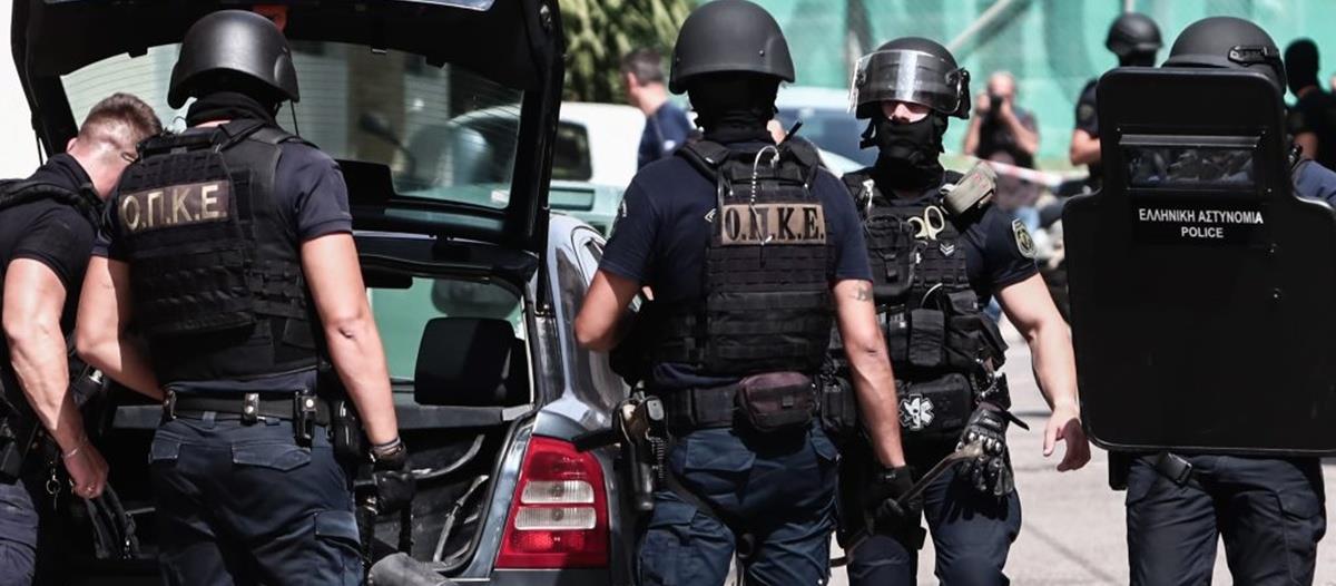 5258898497080910 cats