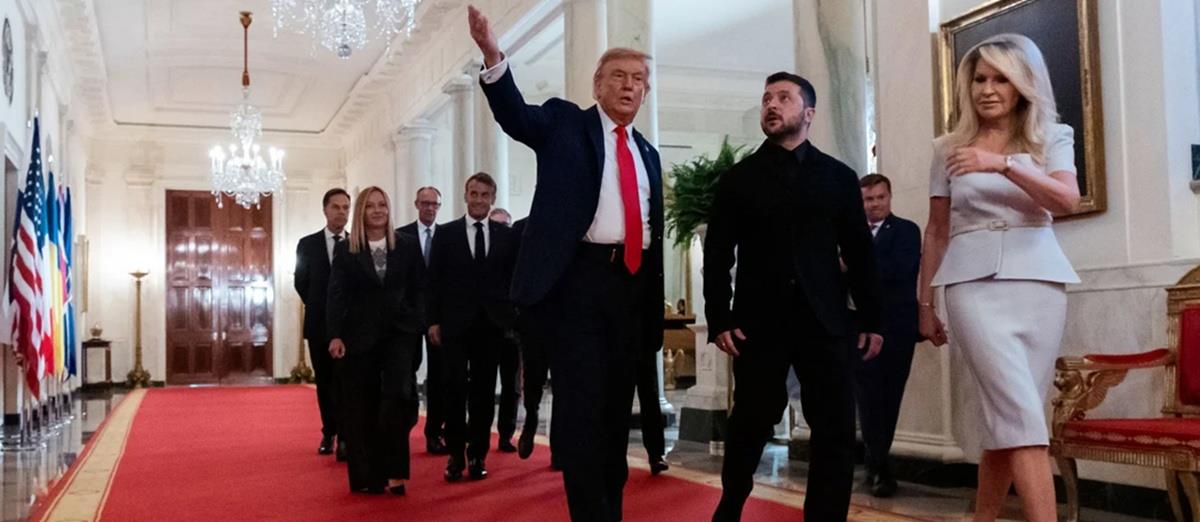 5259000128616970 cats