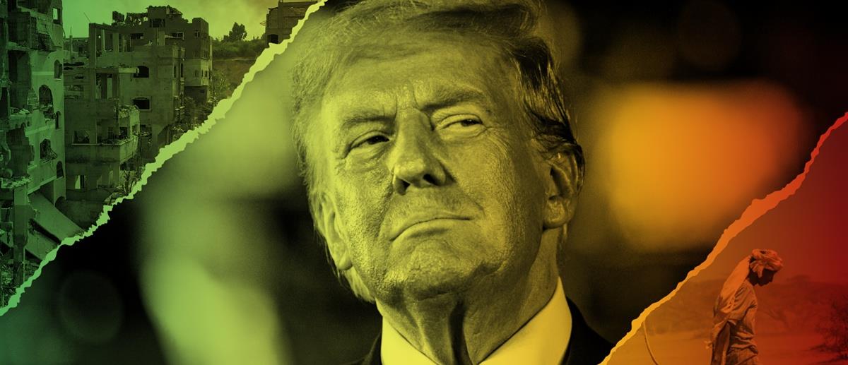 5259016477326975 cats