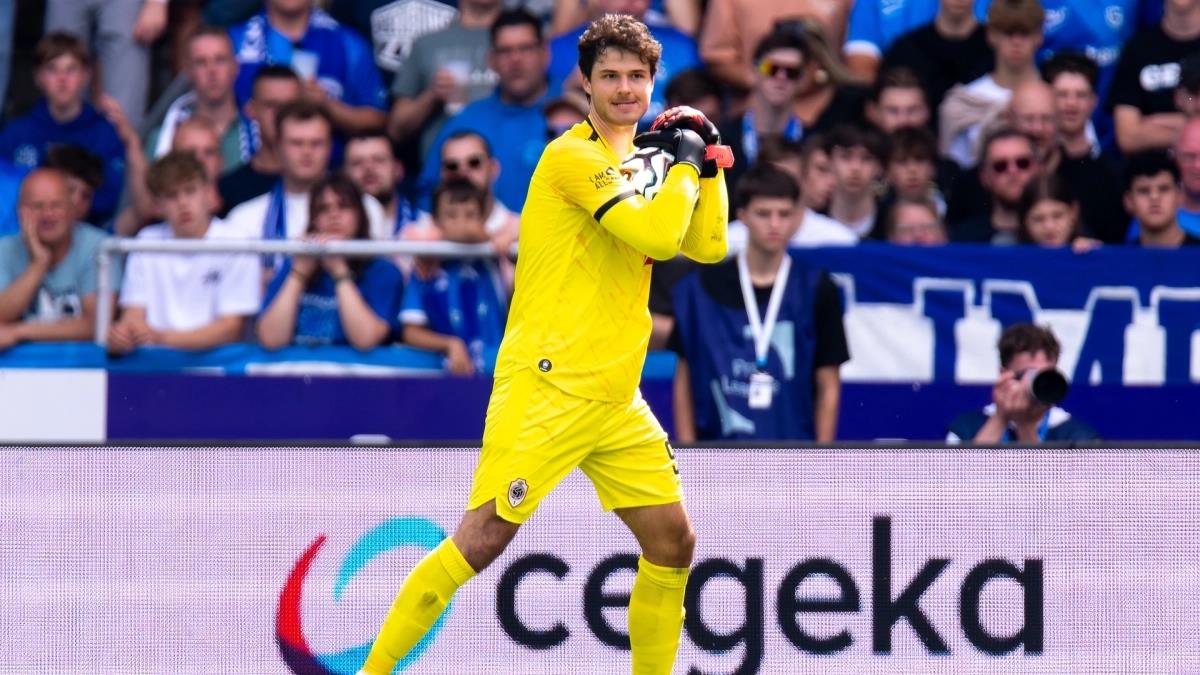 5259705283164175 image