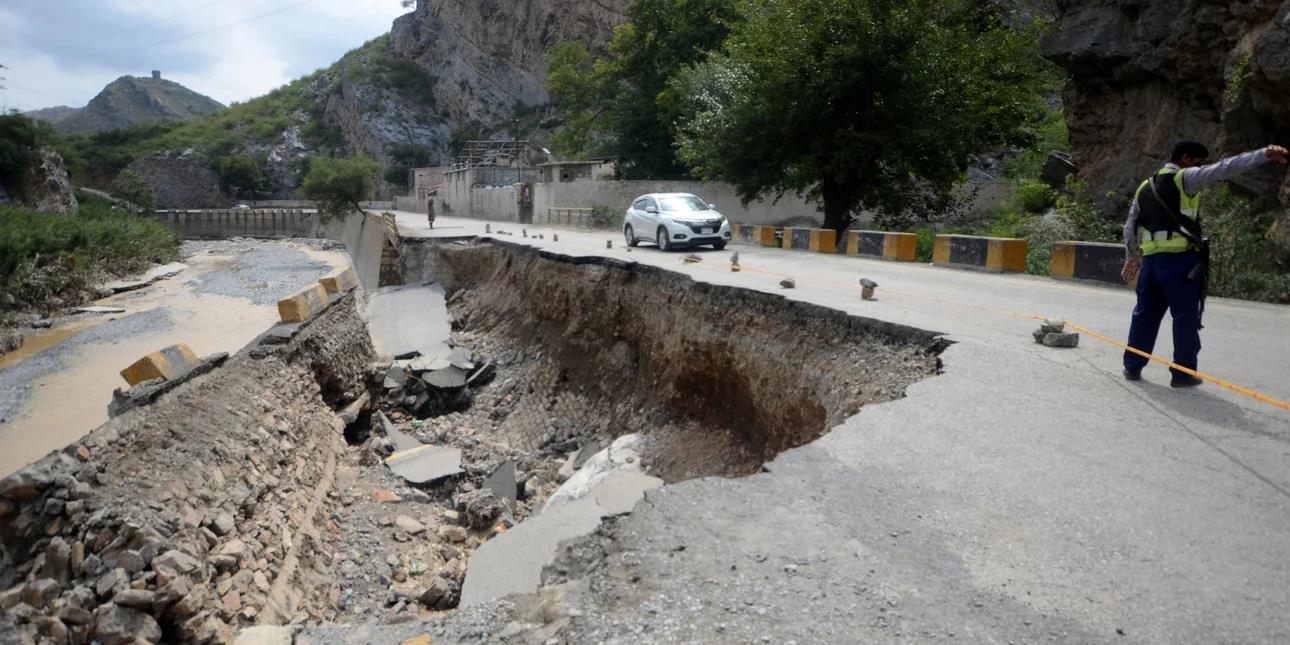 5259893593910556 image