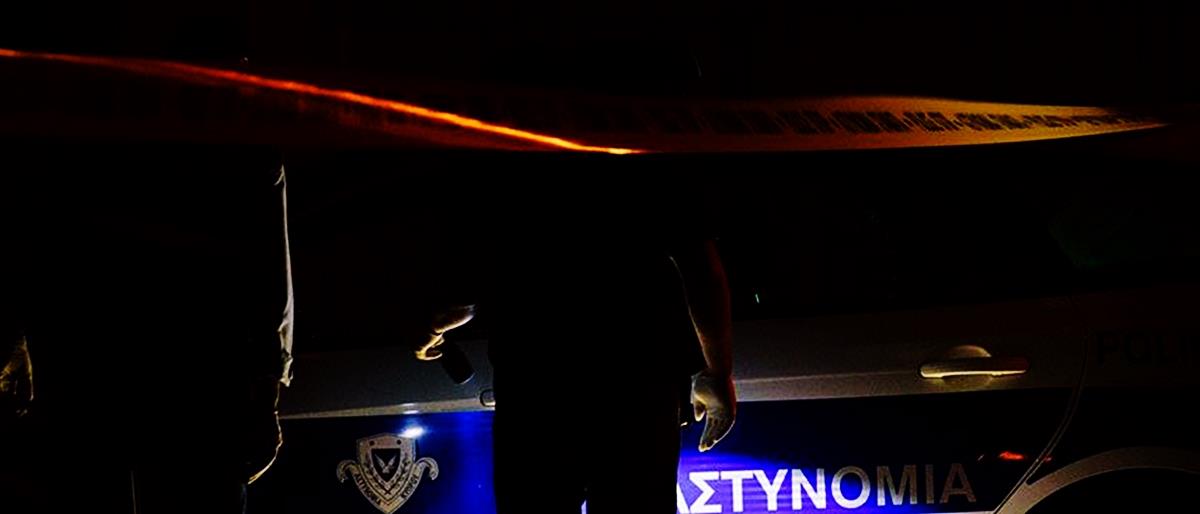 5260380975422795 cats