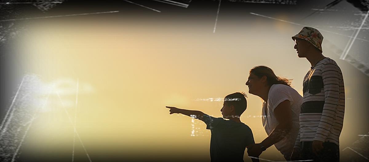 5260418384899259 cats