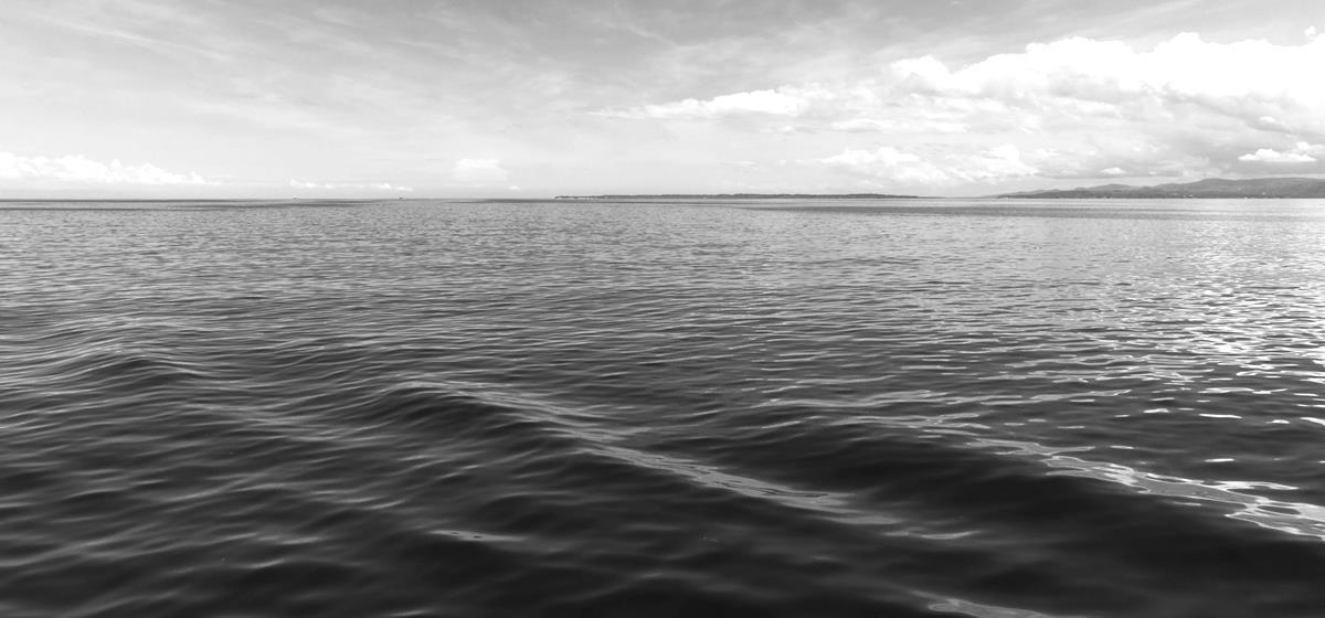 5261678736010862 cats