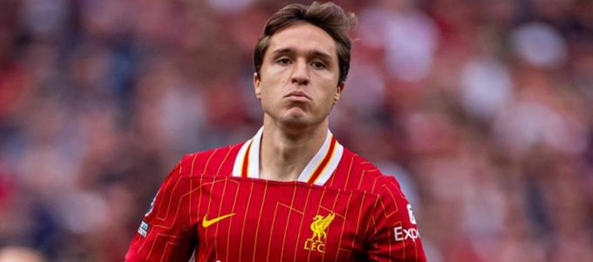 5262039225119475 cats