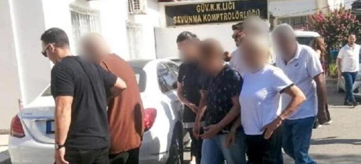 5262192617223028 cats